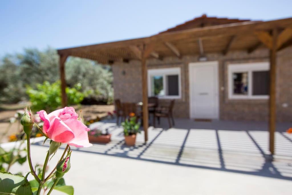 Serenity Studio Beach Home Afandou Exterior foto