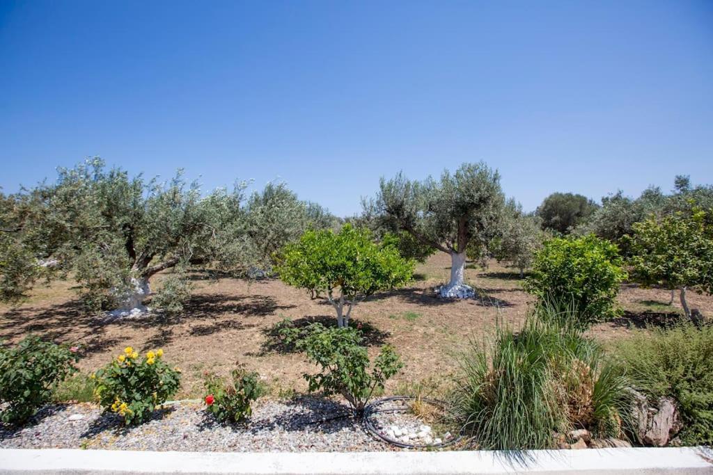 Serenity Studio Beach Home Afandou Exterior foto