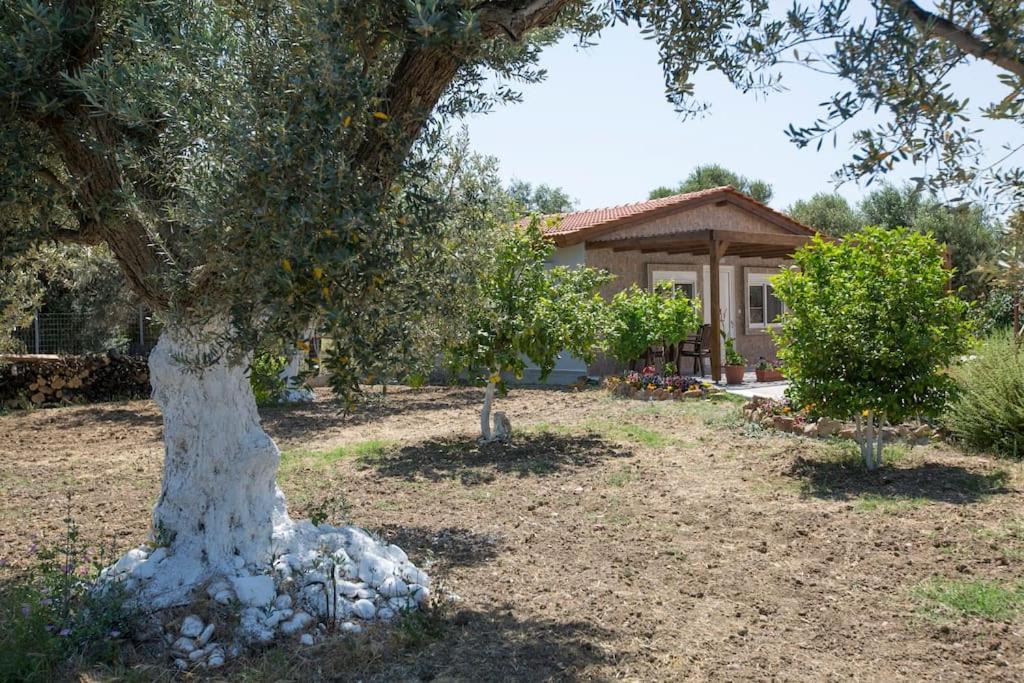 Serenity Studio Beach Home Afandou Exterior foto
